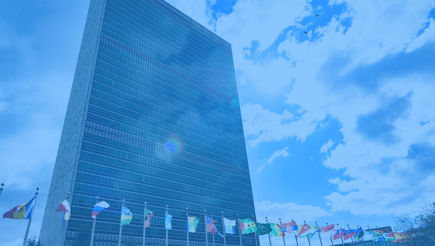 How the UN Recruitment Process Works: From Application to Job Offer