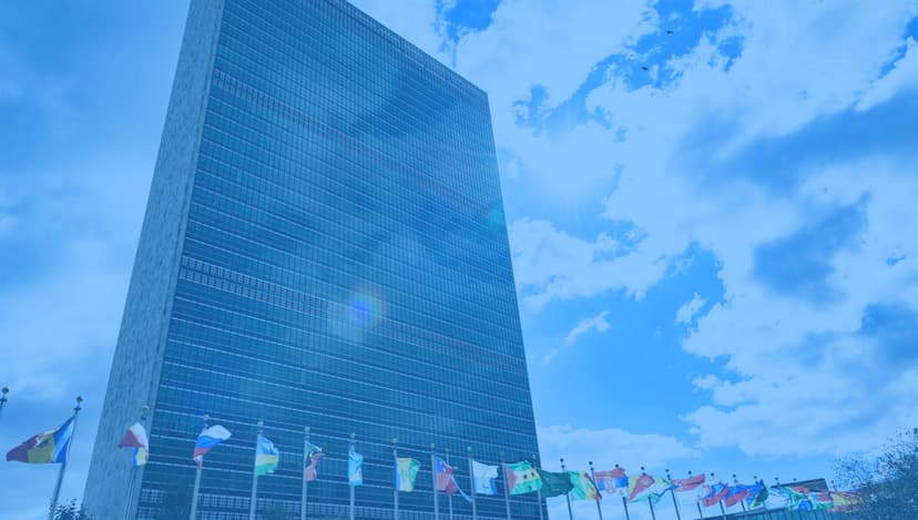 How the UN Recruitment Process Works: From Application to Job Offer