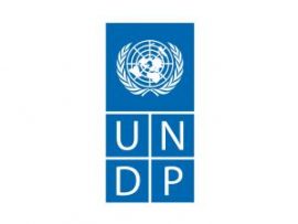 United Nations Development Programme (UNDP)